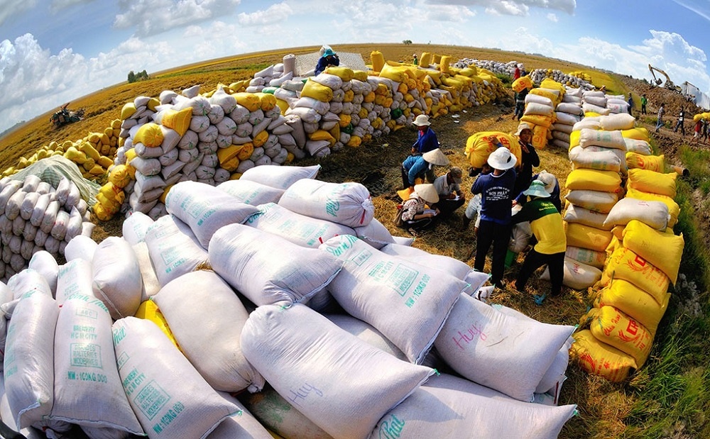 Việt Nam trở thành nguồn nhập khẩu gạo chính cho Indonesia